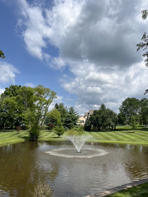Weekly Lawn Care